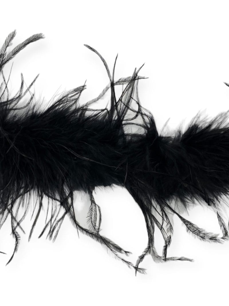 Φτερά με το μέτρο