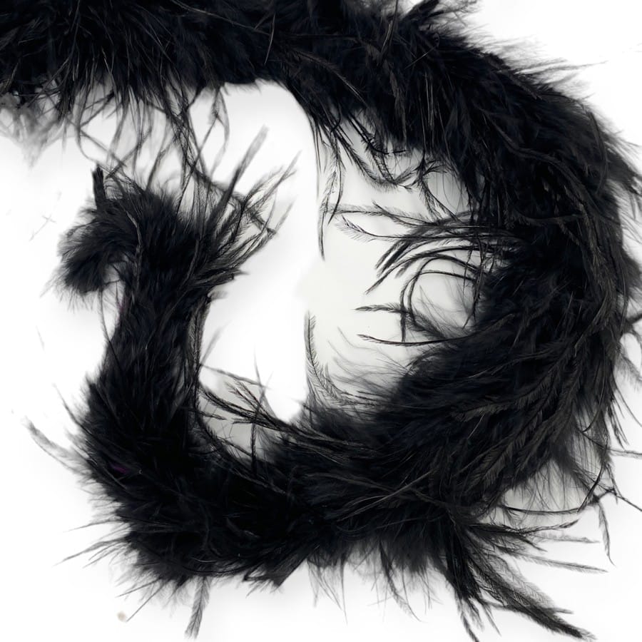 Φτερά με το μέτρο